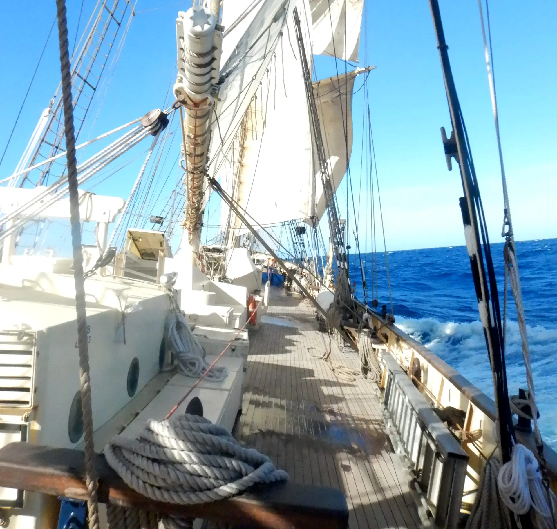 Leeuwin-DSCN9893-scaled